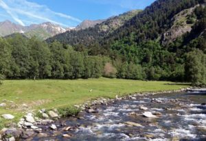 Escapadas rurales en Bergadá